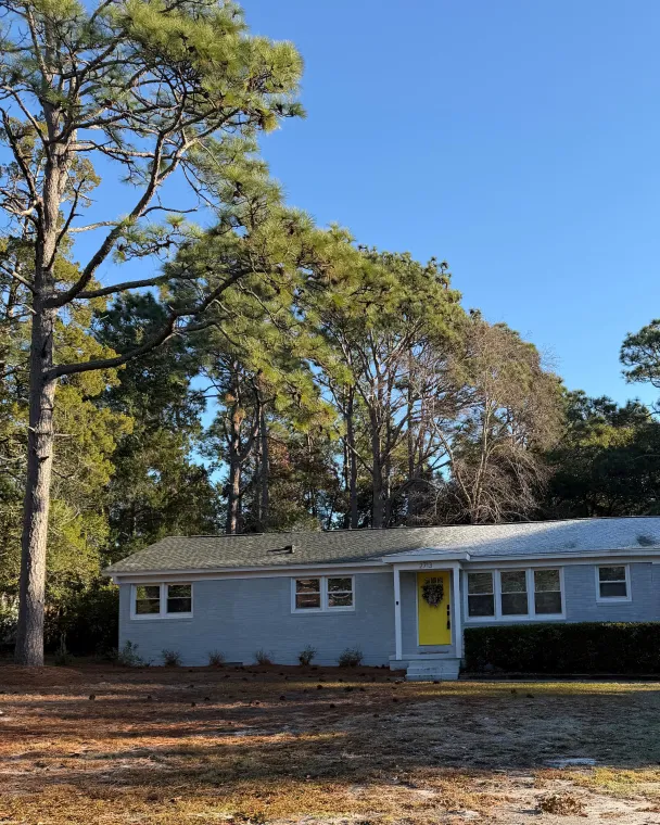 house surrounded by trees